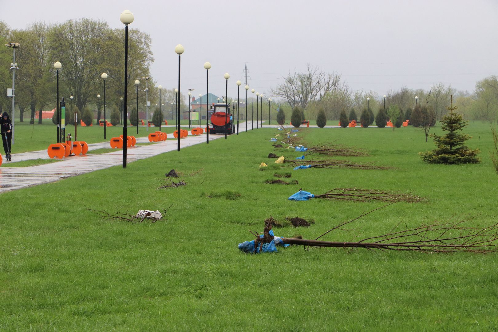 День добрых дел, Серебряные Пруды, Парк Серебряный, высадка деревьев,