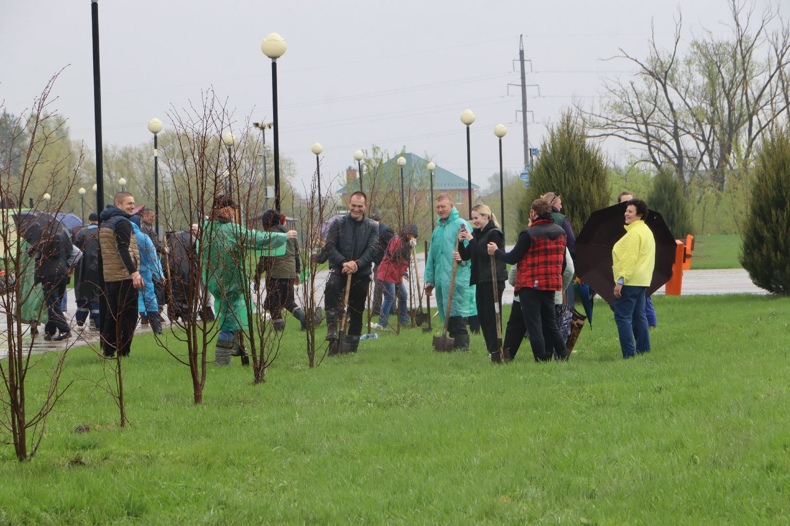 День добрых дел, Серебряные Пруды, Парк Серебряный, высадка деревьев,