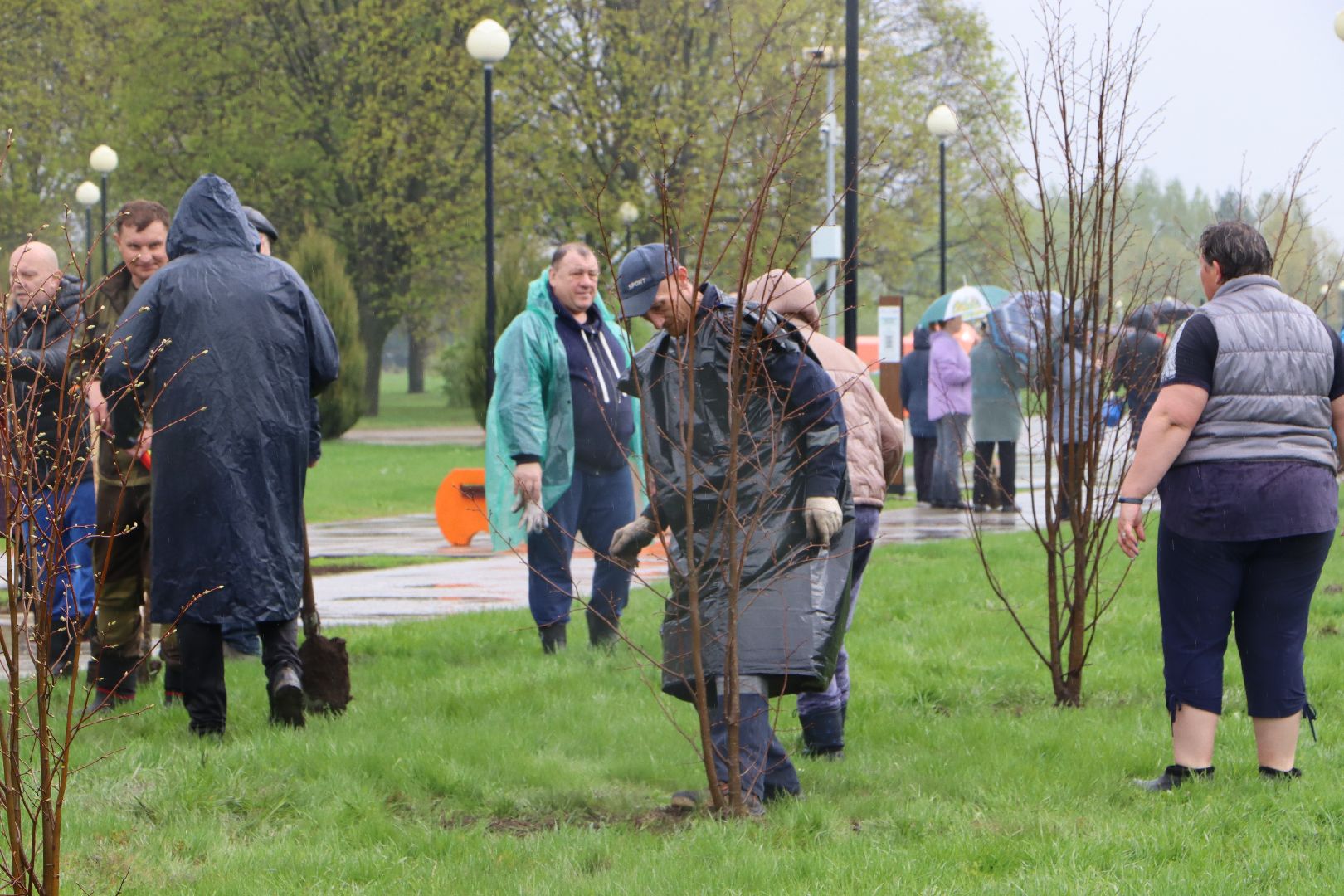 День добрых дел, Серебряные Пруды, Парк Серебряный, высадка деревьев,