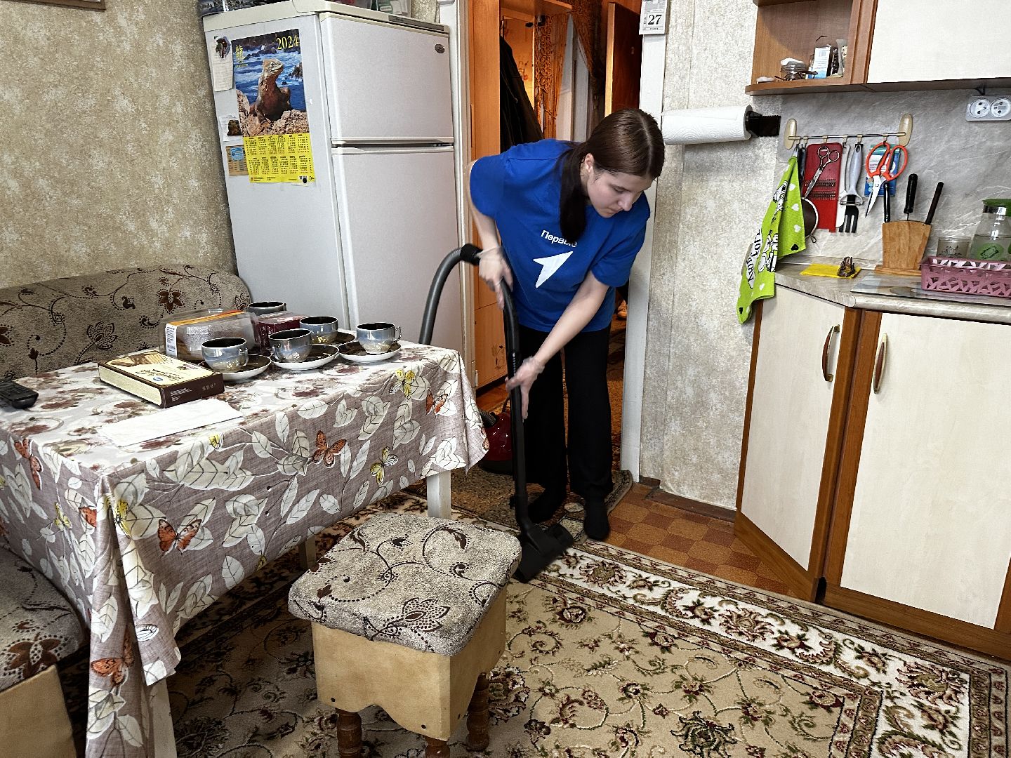 воскресенск, день добрых дел, пенсионеры, волонеры, школьники,