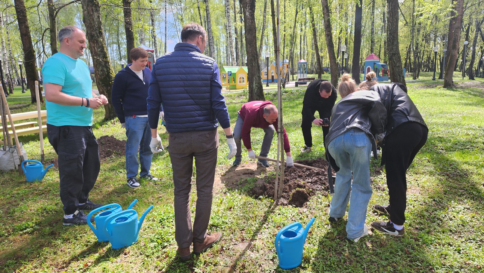 кашира, городской парк, день добрых дел, туи, красный клен, посадка деревьев, благоустройство,