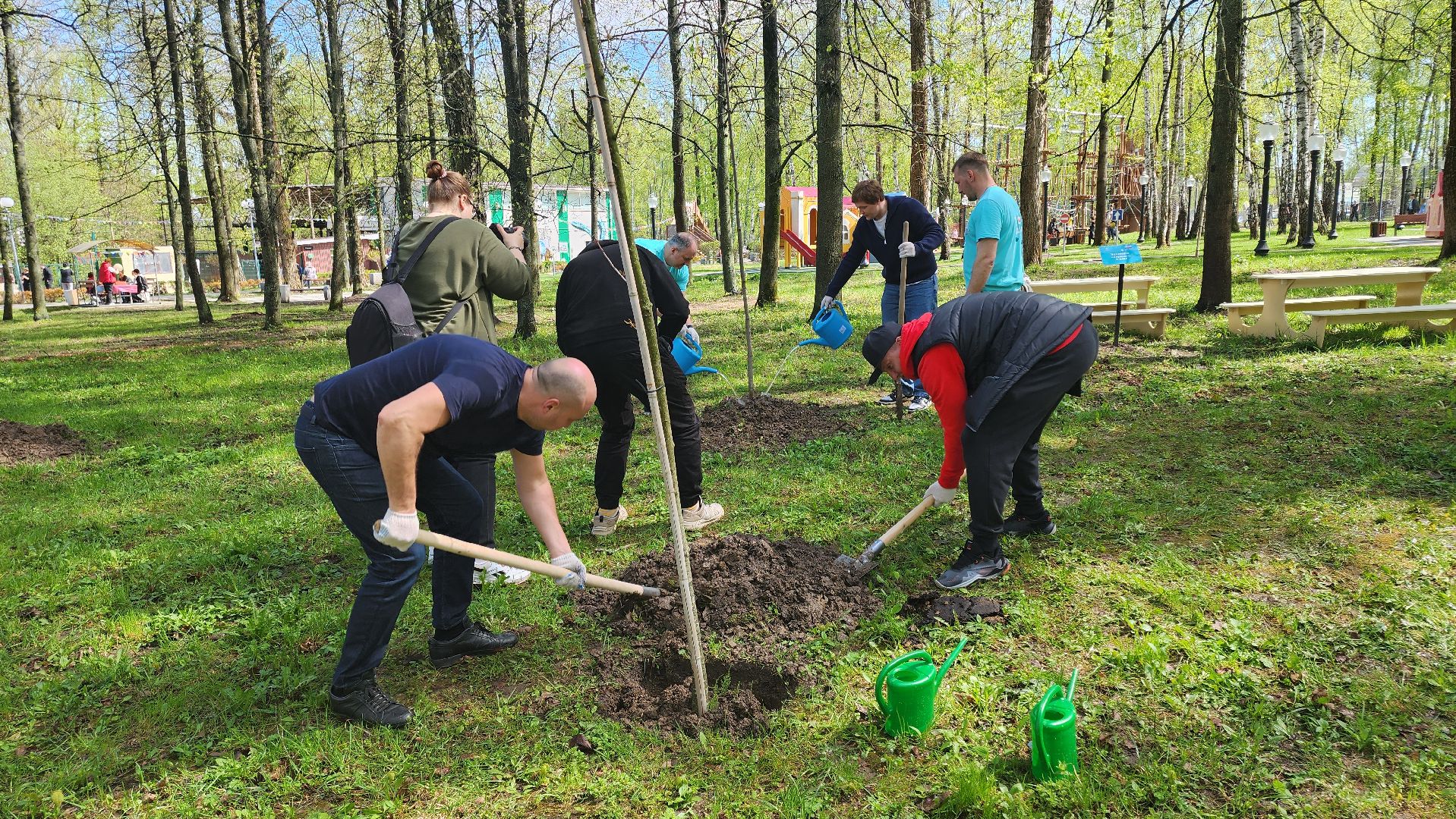 кашира, городской парк, день добрых дел, туи, красный клен, посадка деревьев, благоустройство,
