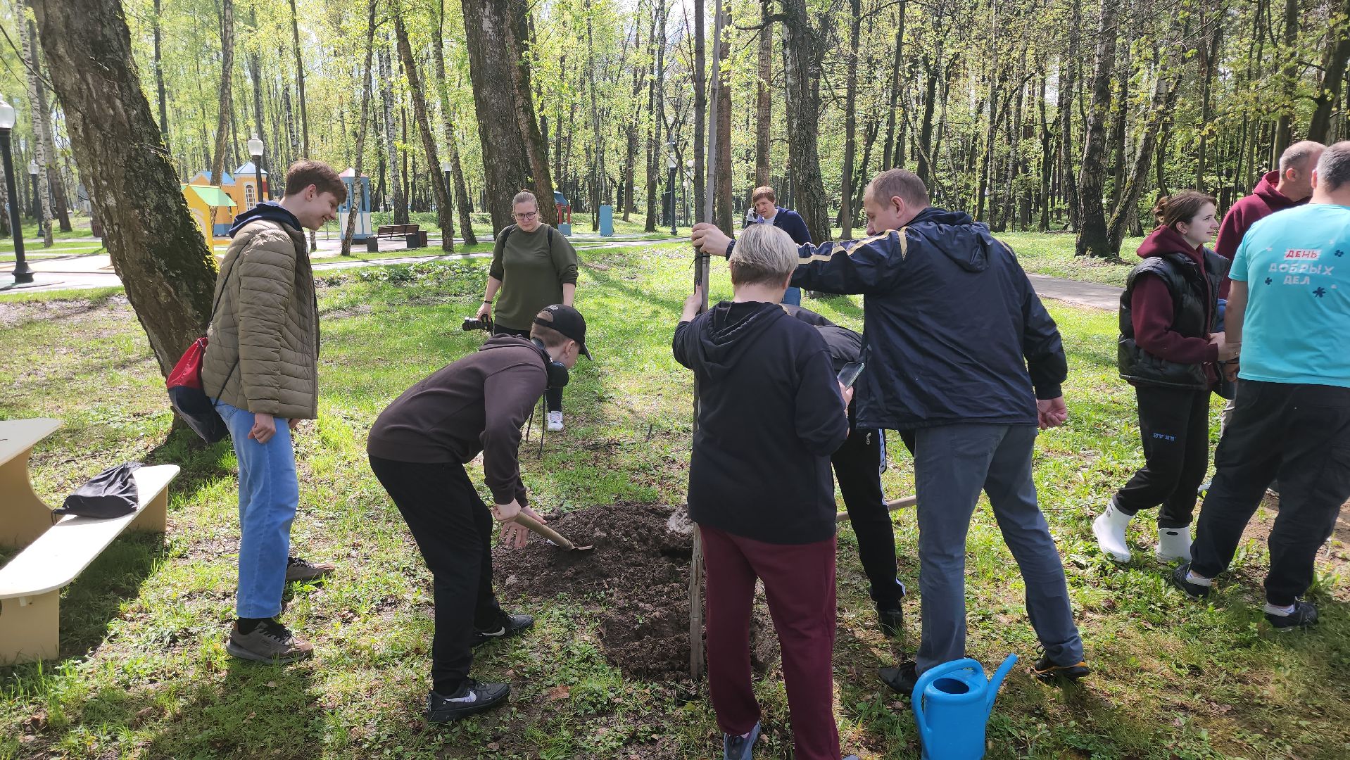 кашира, городской парк, день добрых дел, туи, красный клен, посадка деревьев, благоустройство,