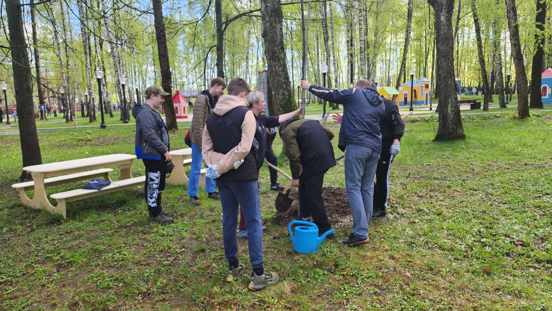 кашира, городской парк, день добрых дел, туи, красный клен, посадка деревьев, благоустройство,