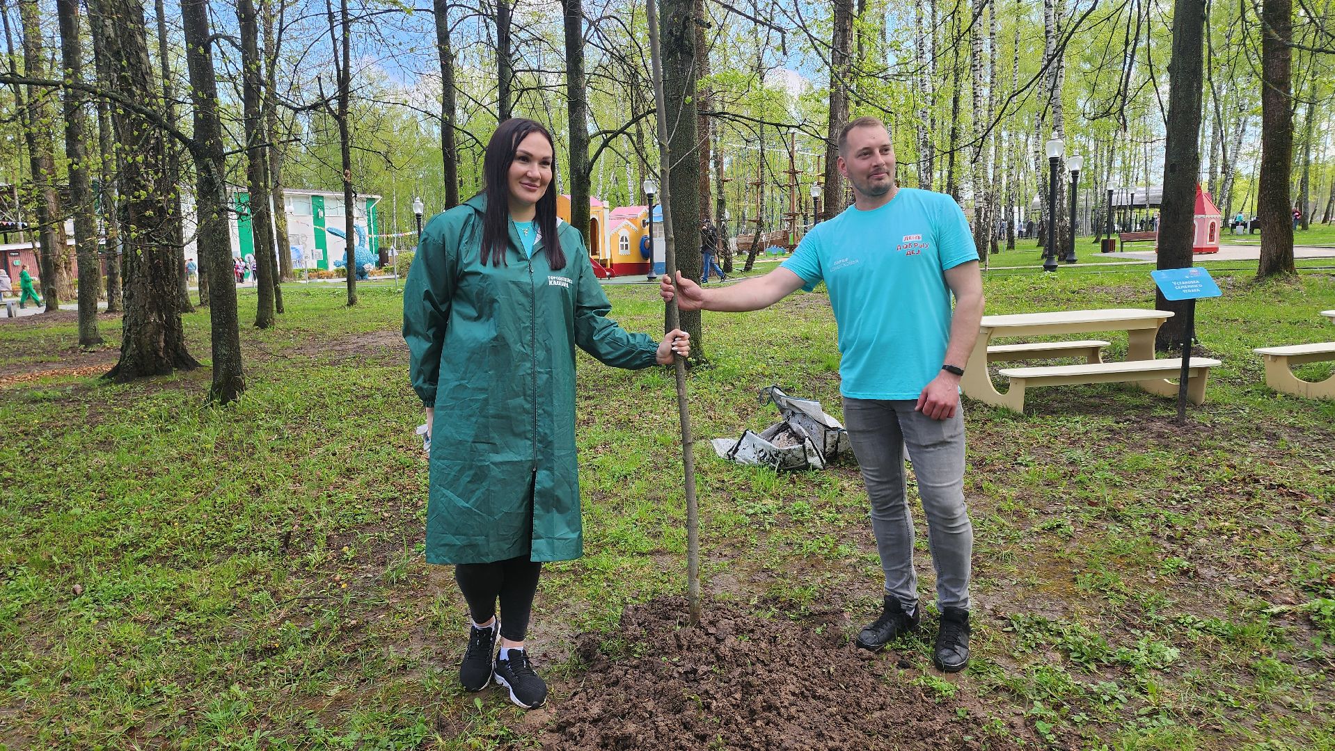 кашира, городской парк, день добрых дел, туи, красный клен, посадка деревьев, благоустройство,