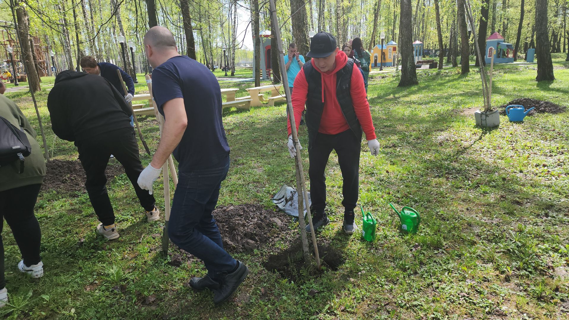 кашира, городской парк, день добрых дел, туи, красный клен, посадка деревьев, благоустройство,