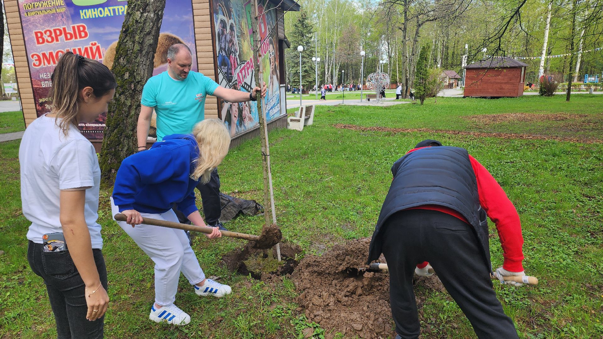 кашира, городской парк, день добрых дел, туи, красный клен, посадка деревьев, благоустройство,