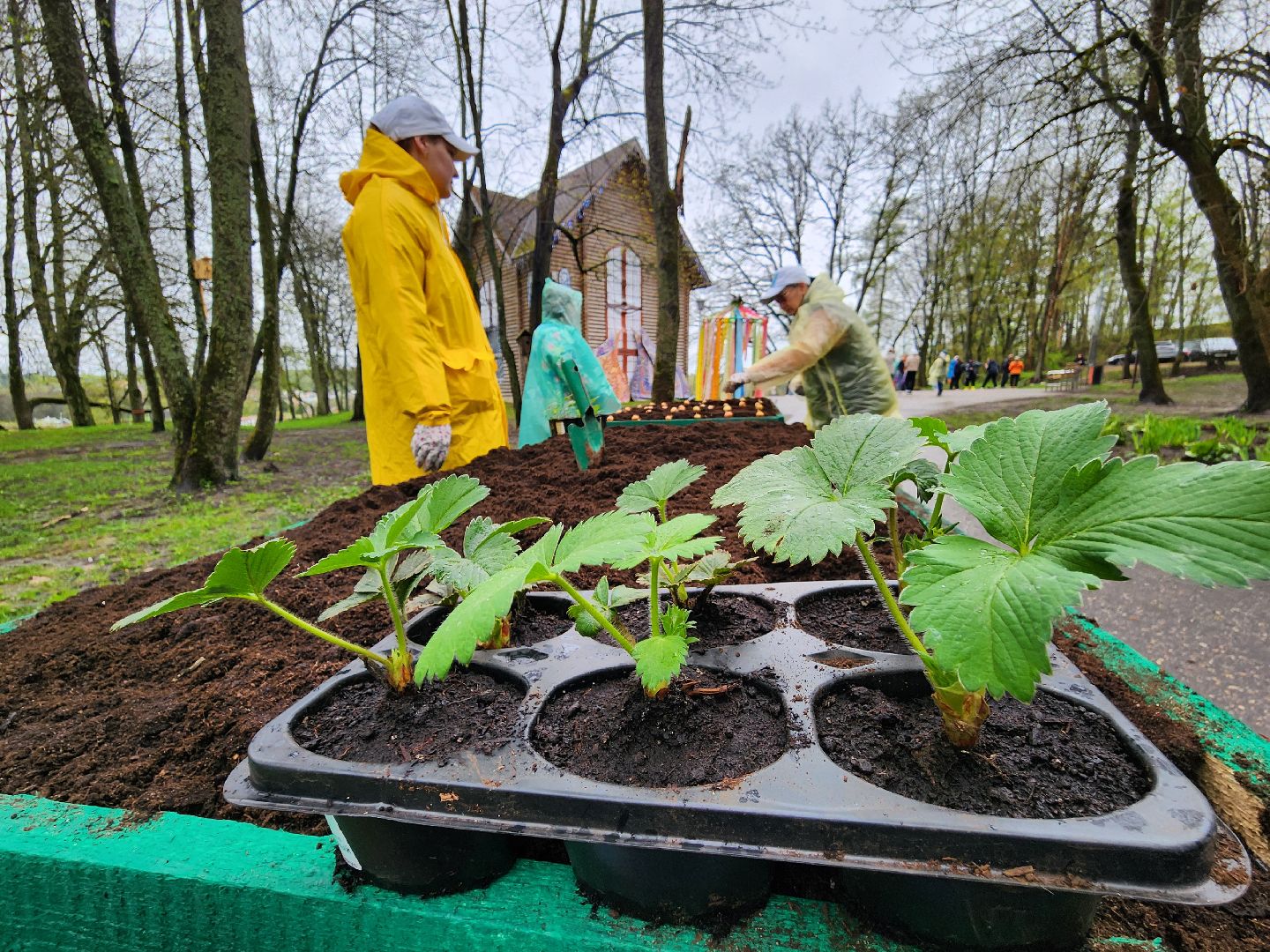 Парк, парк городок, общественный огород, субботник, день добрых дел, руза, рузский городской округ,