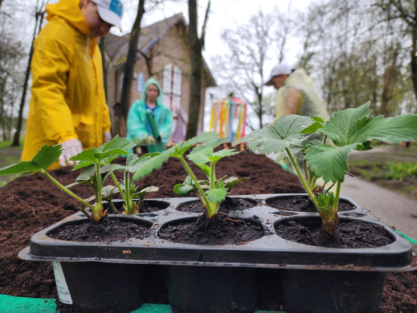 Парк, парк городок, общественный огород, субботник, день добрых дел, руза, рузский городской округ,