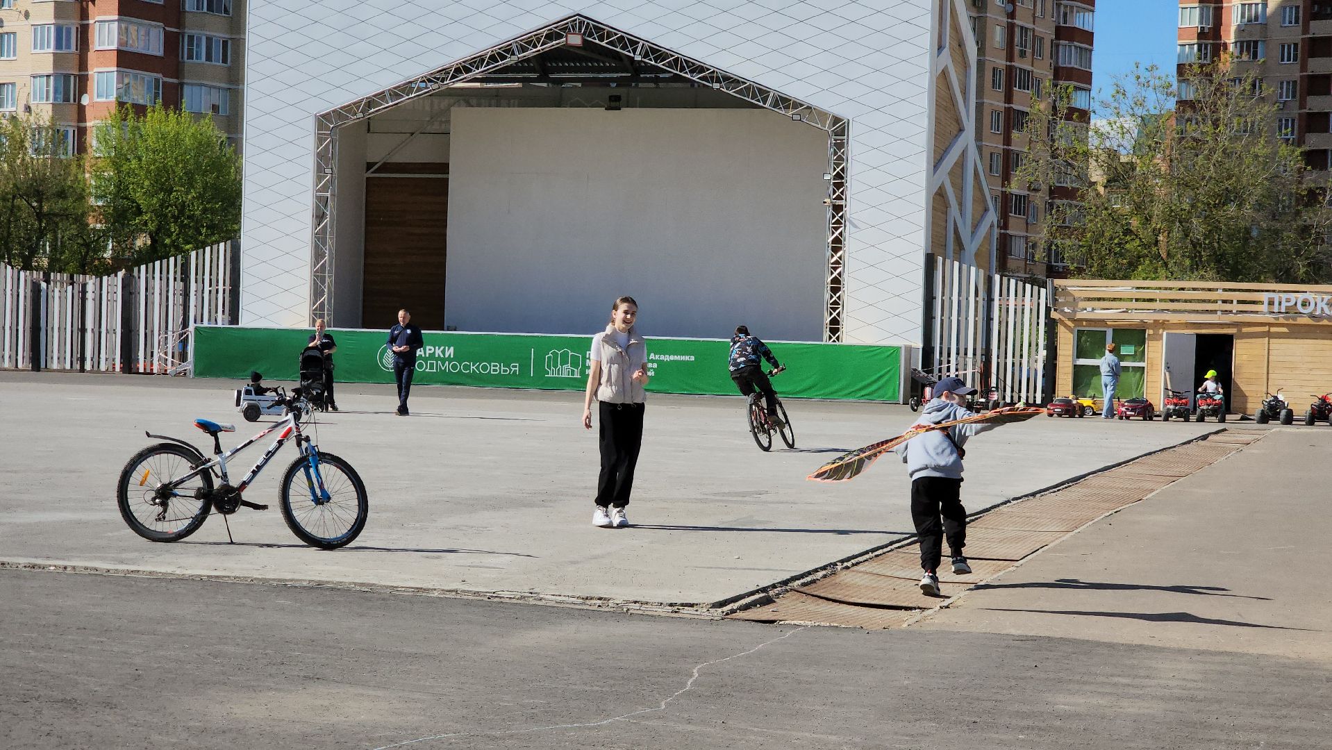 воздушные змеи, долгопрудный, парк