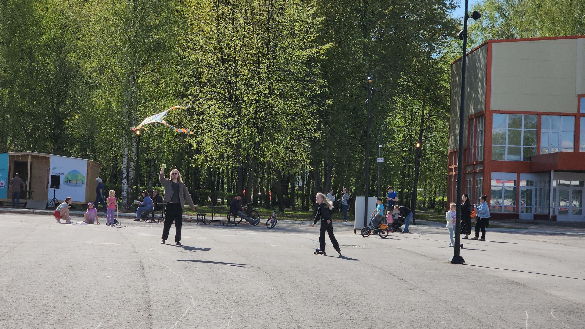 воздушные змеи, долгопрудный, парк