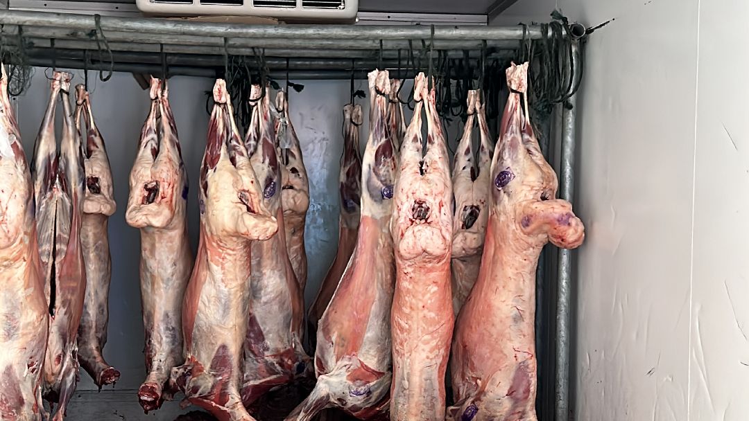 Одинцово, Мясо, Ветконтроль, Качество, Рынок, Потребитель