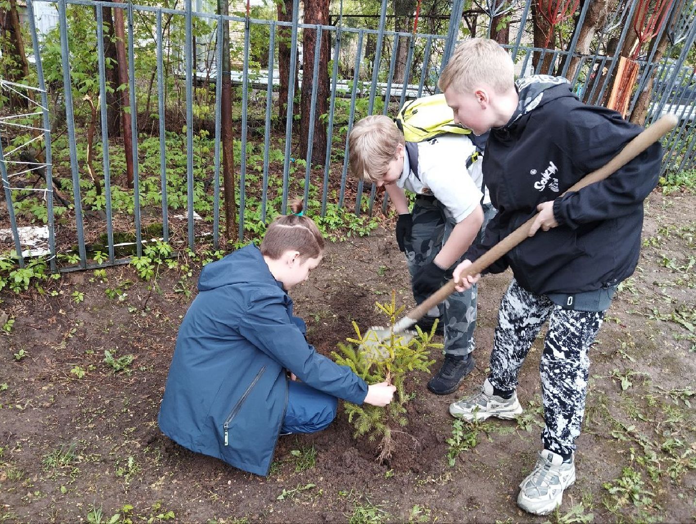 день добрых дел, деревья, акция,