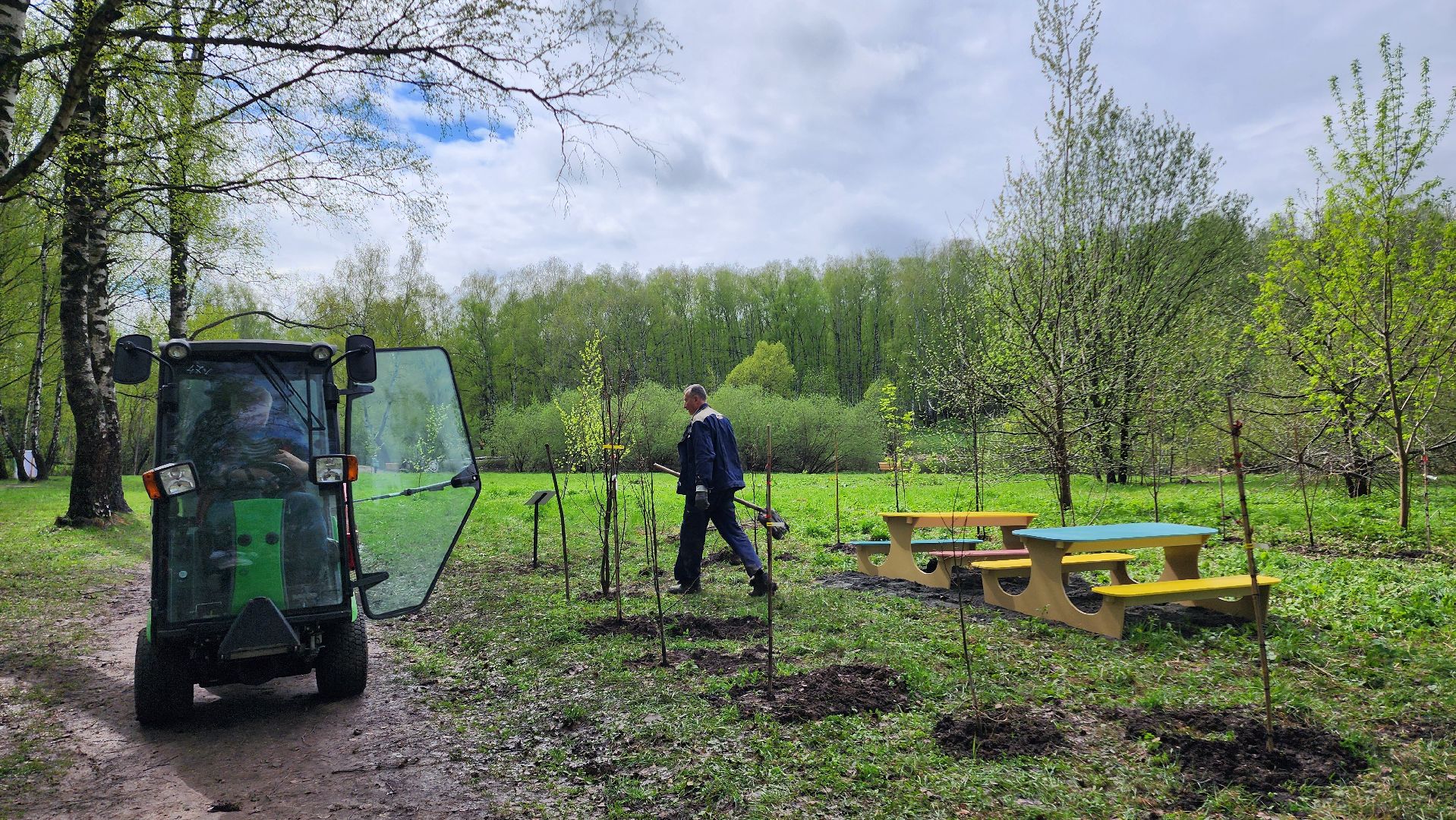 день добрых дел, деревья, акция,