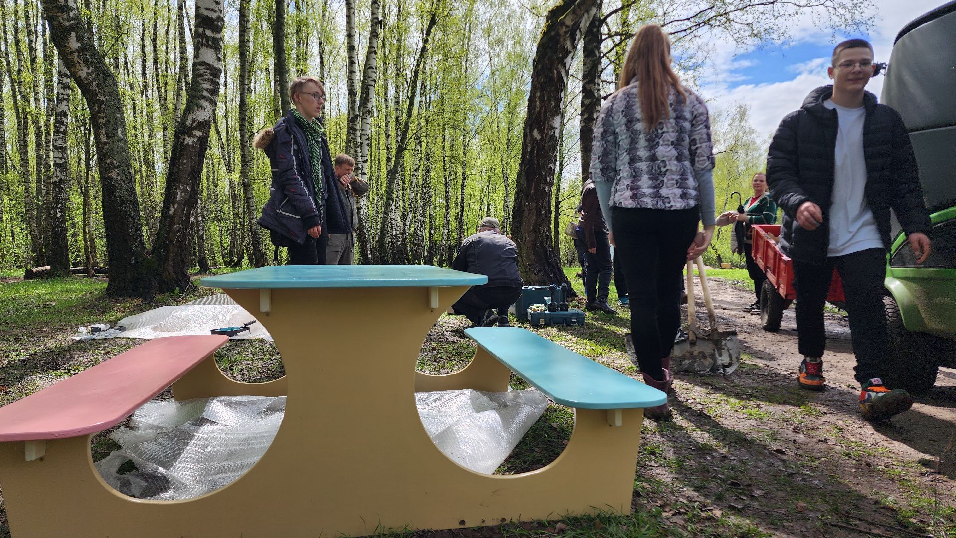 день добрых дел, деревья, акция,