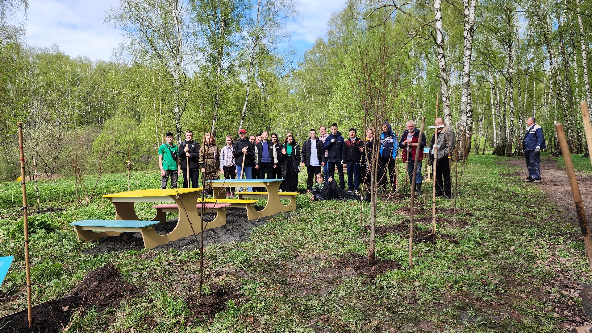 день добрых дел, деревья, акция,