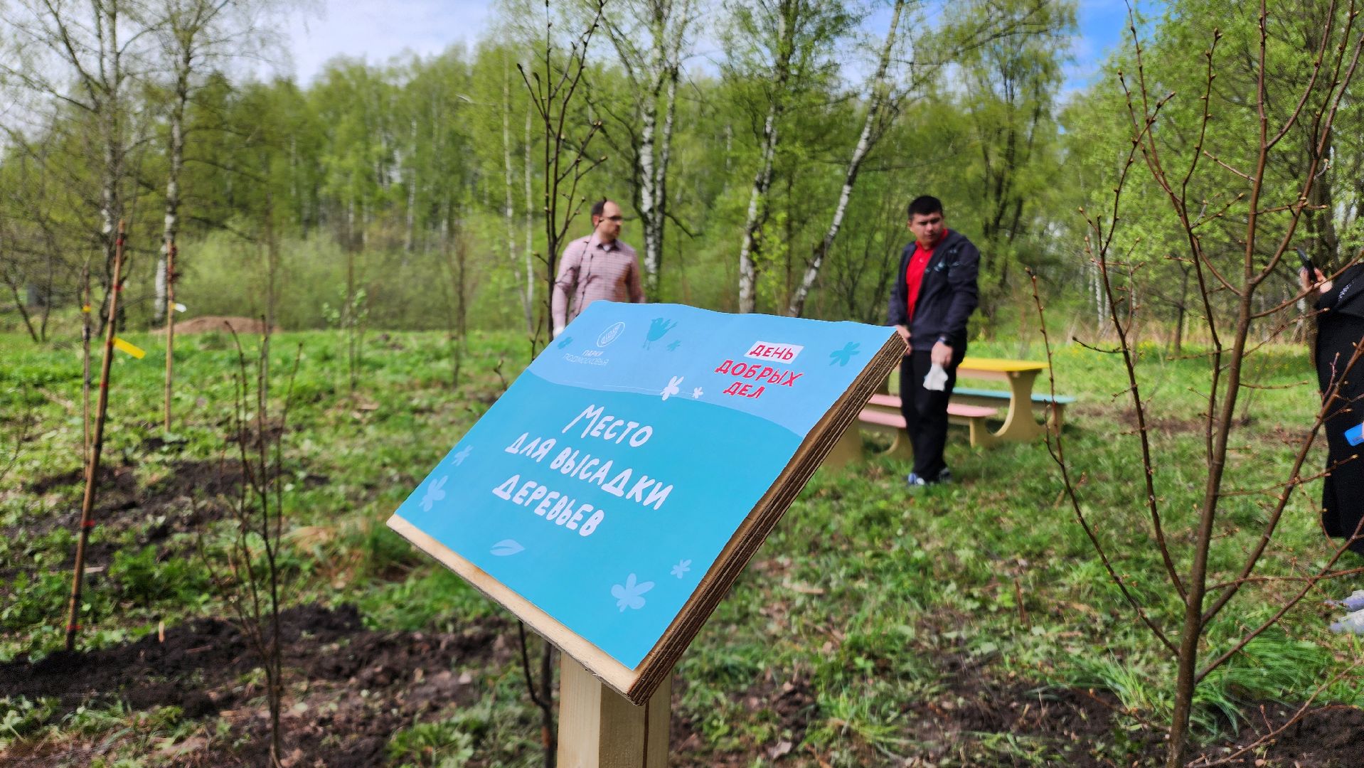 день добрых дел, деревья, акция,