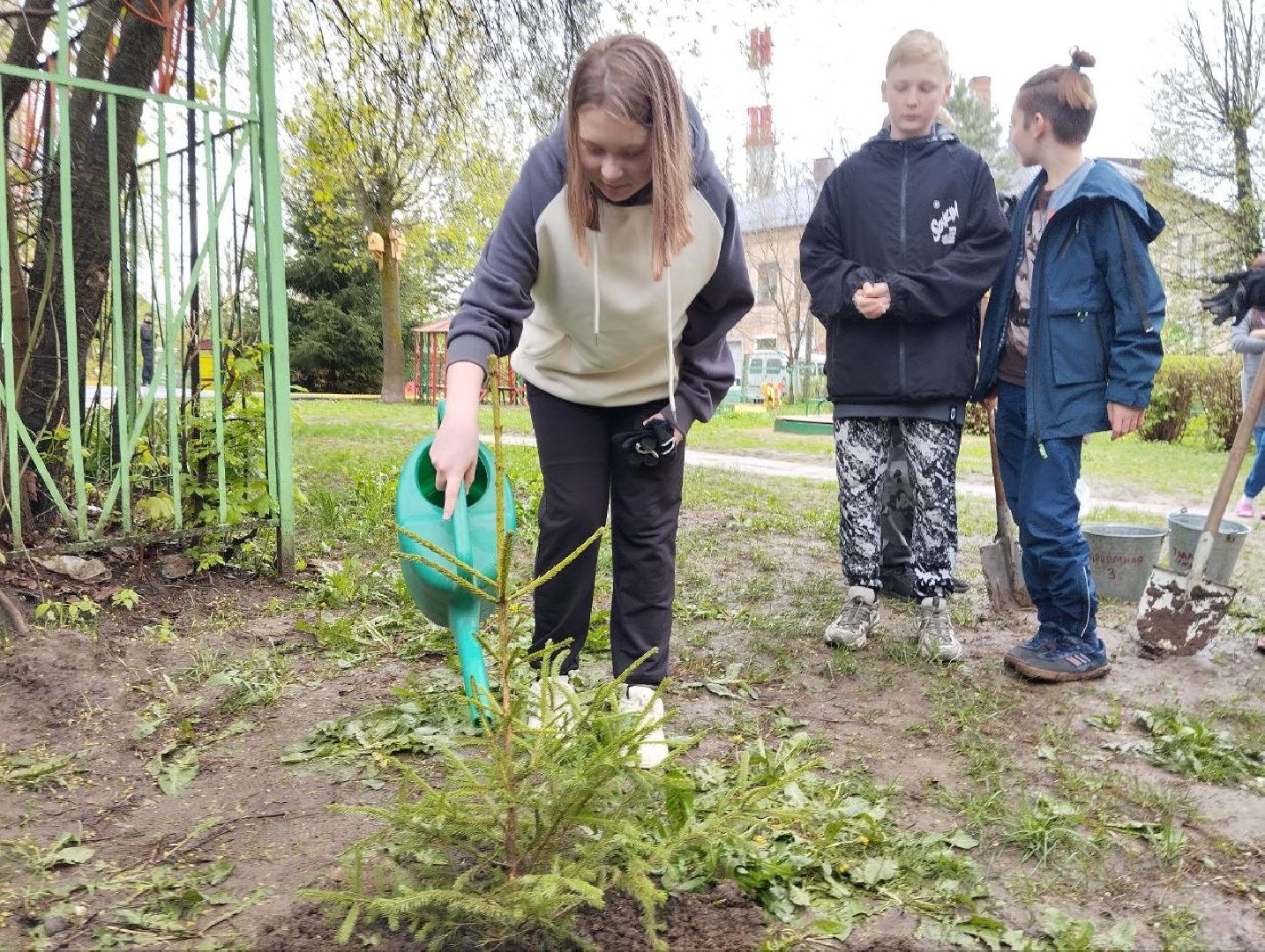 день добрых дел, деревья, акция,