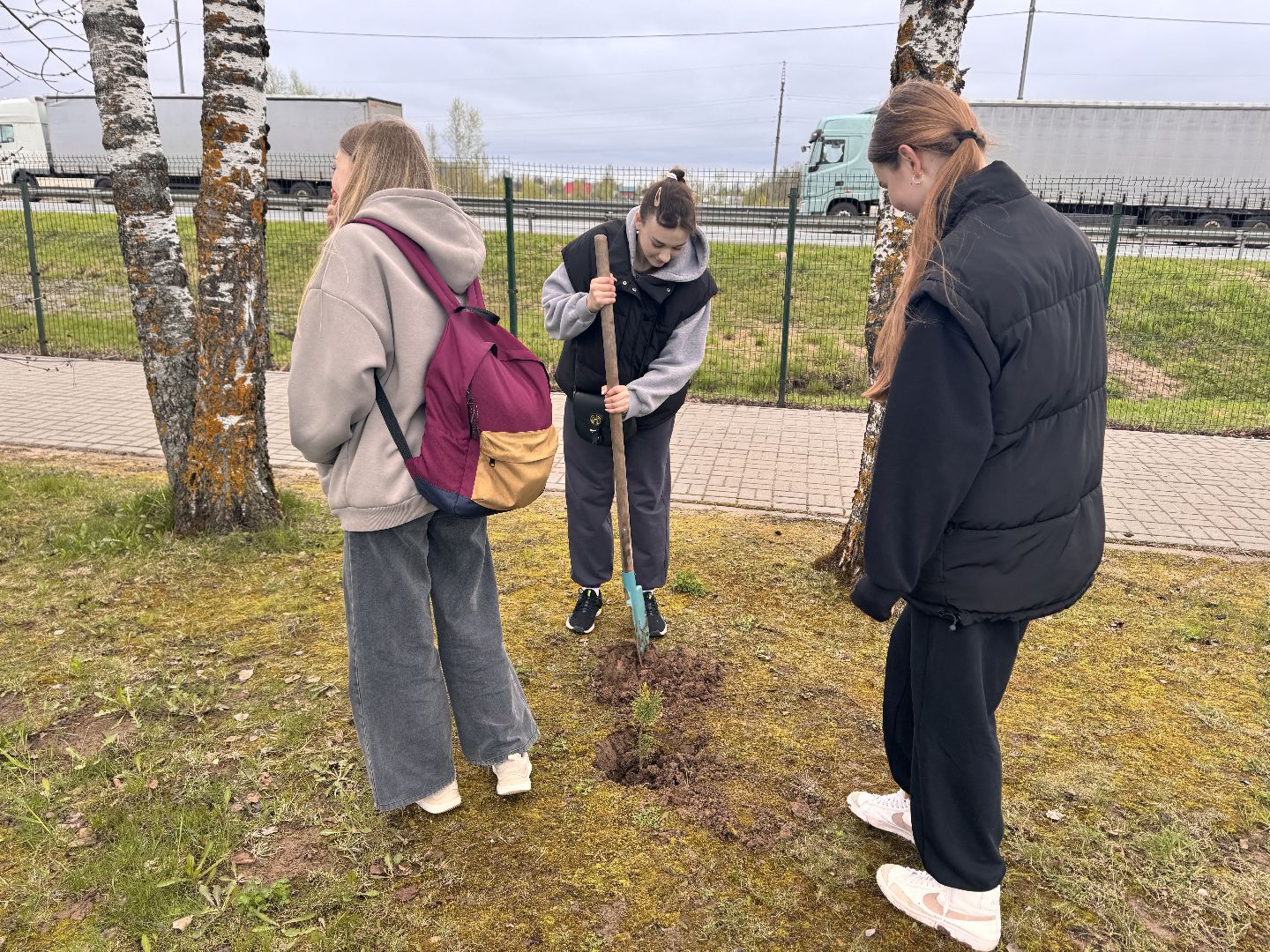шаховская, день добрых дел, высадка деревьев, акция, акция в городском парке,