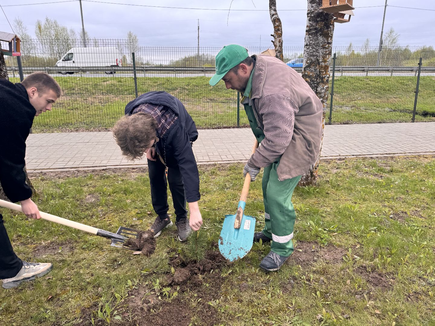 шаховская, день добрых дел, высадка деревьев, акция, акция в городском парке,