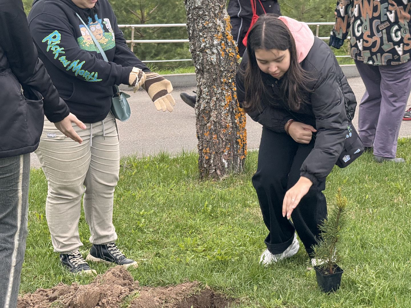 шаховская, день добрых дел, высадка деревьев, акция, акция в городском парке,