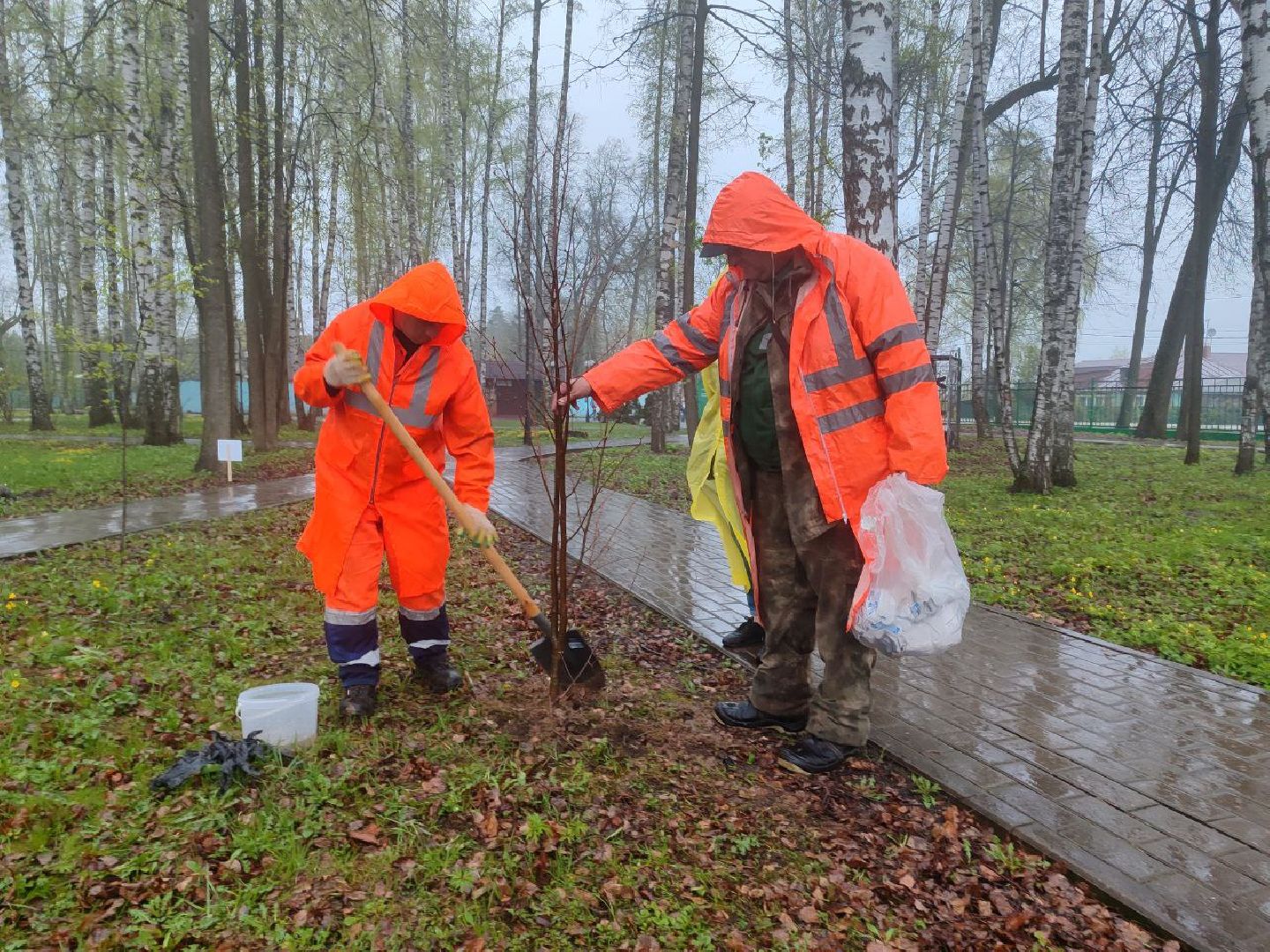 пушкино, субботник, благоустройство, парки,