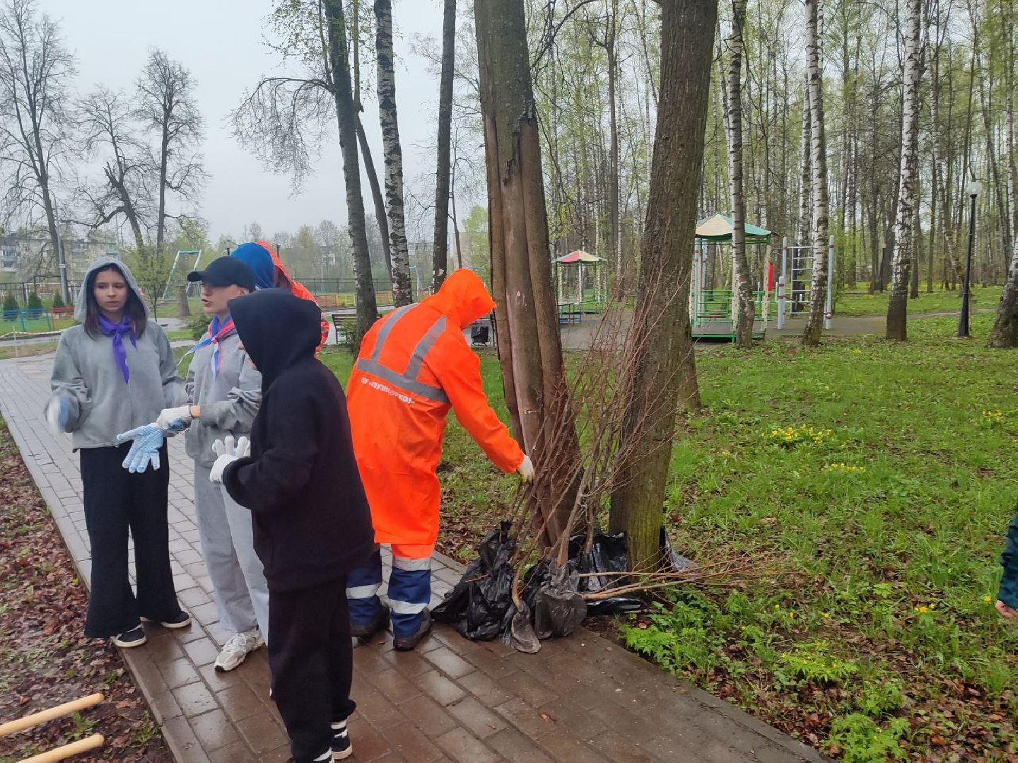 пушкино, субботник, благоустройство, парки,