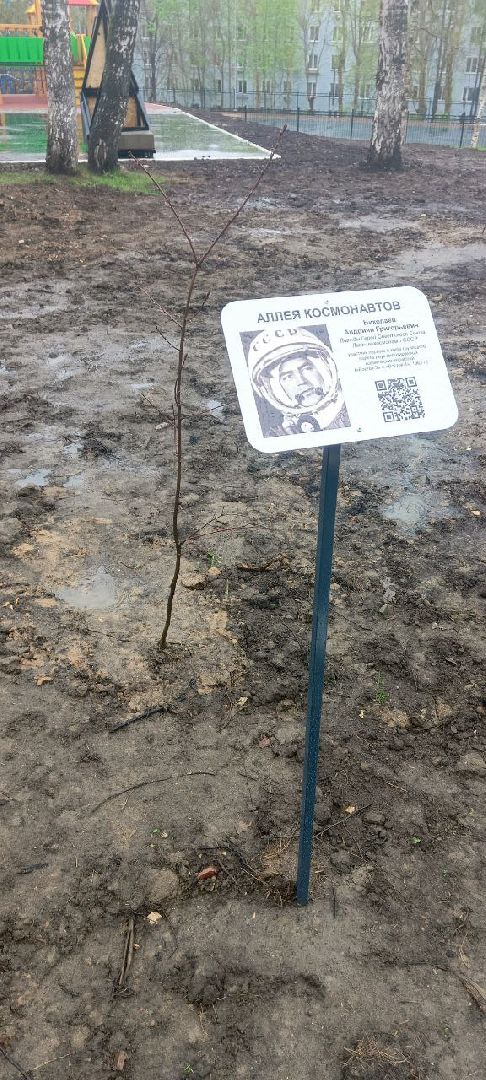 Дмитров, День добрых дел,