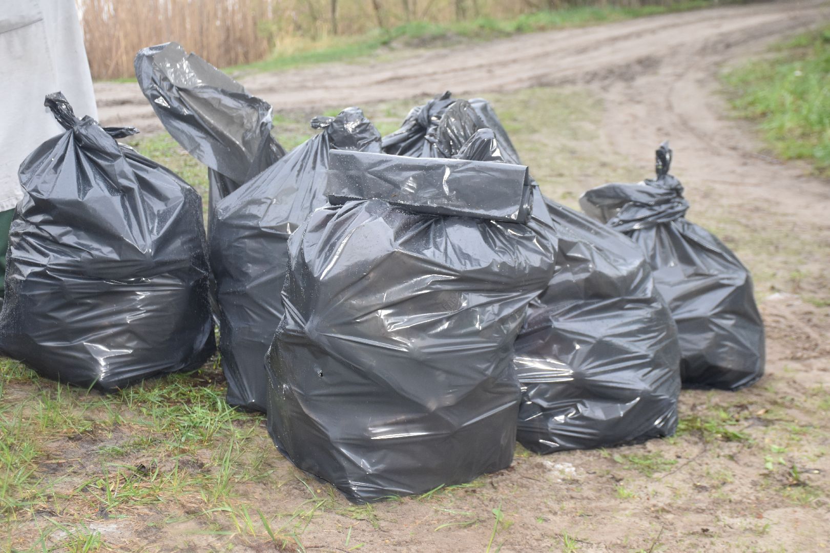 общеобластной субботник, день добрых дел, озеро Юбилейное, Рошаль, рошальский лицей, Большая Шатура, парк Крестов брод, озеленение,