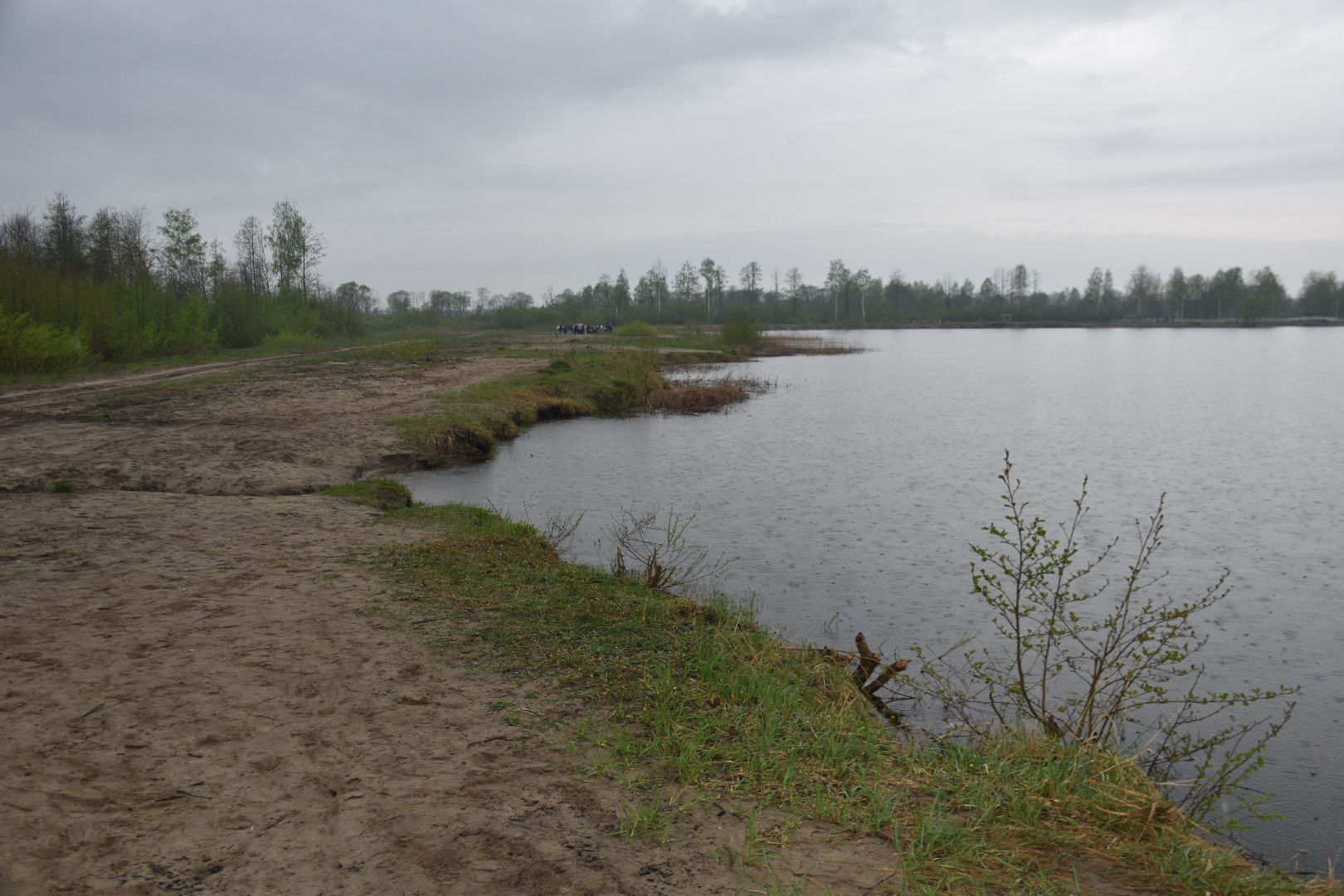 общеобластной субботник, день добрых дел, озеро Юбилейное, Рошаль, рошальский лицей, Большая Шатура, парк Крестов брод, озеленение,