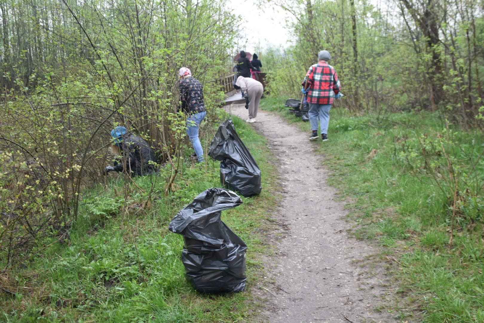 общеобластной субботник, день добрых дел, озеро Юбилейное, Рошаль, рошальский лицей, Большая Шатура, парк Крестов брод, озеленение,