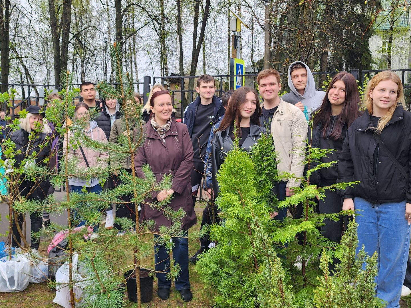 день добрых дел, высадка деревьев,