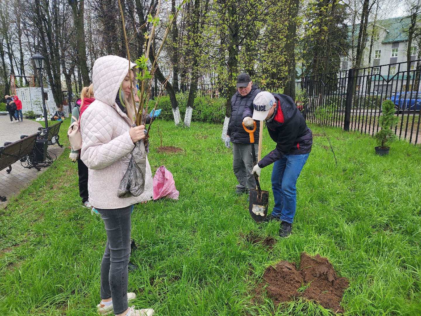 день добрых дел, высадка деревьев,