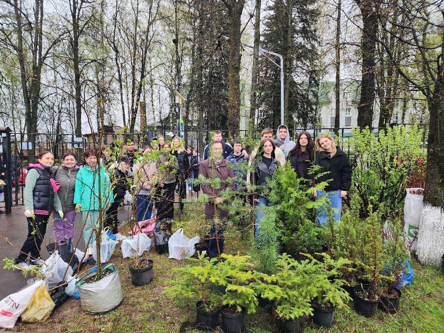 день добрых дел, высадка деревьев,