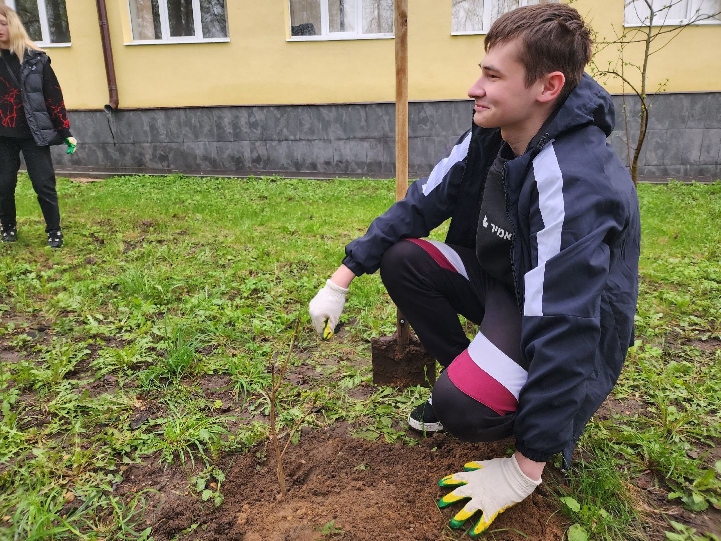 день добрых дел, высадка деревьев,