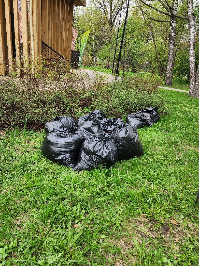 субботник, Мытищи,