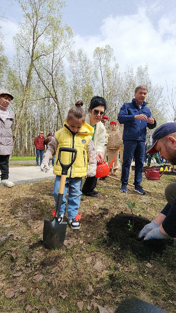электросталь, мой город, жители города, акция, доброе дело, день добрых дел, субботник, посадка деревьев,