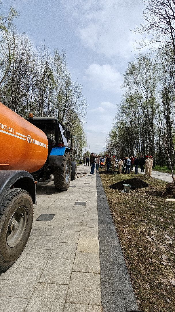 электросталь, мой город, жители города, акция, доброе дело, день добрых дел, субботник, посадка деревьев,