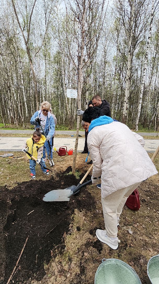 электросталь, мой город, жители города, акция, доброе дело, день добрых дел, субботник, посадка деревьев,