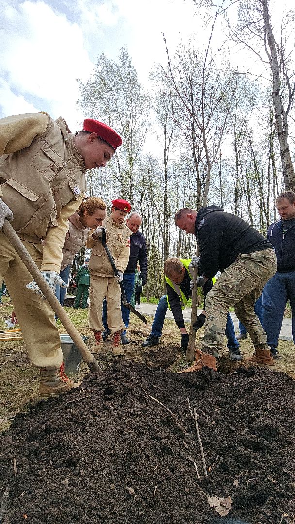 электросталь, мой город, жители города, акция, доброе дело, день добрых дел, субботник, посадка деревьев,