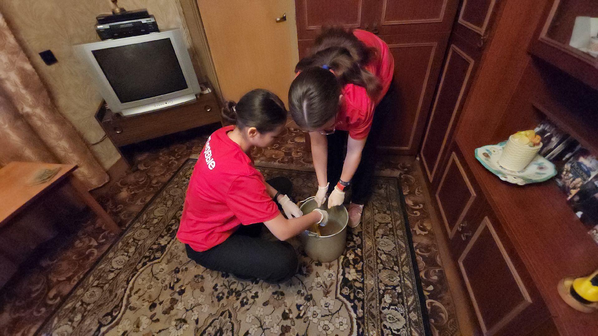 Егорьевск, Акция, Подмосковье, Московская область, День добрых дел,