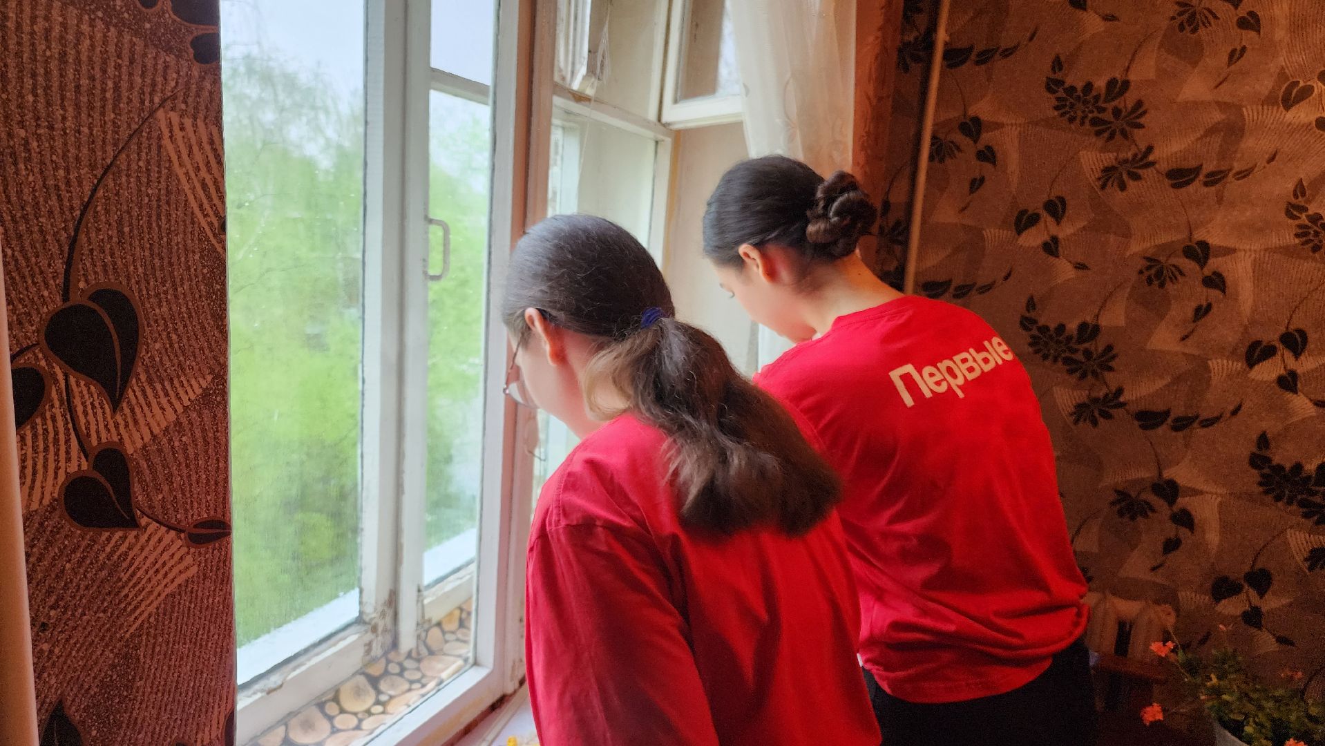 Егорьевск, Акция, Подмосковье, Московская область, День добрых дел,