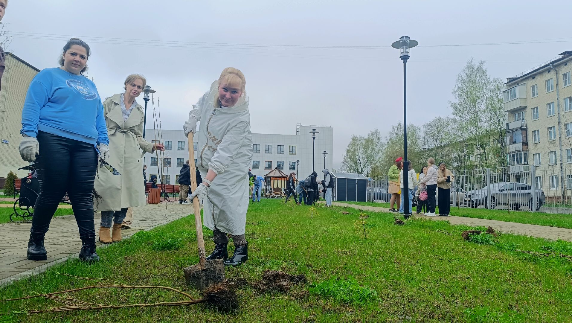 экология, посадка деревьев, школа,