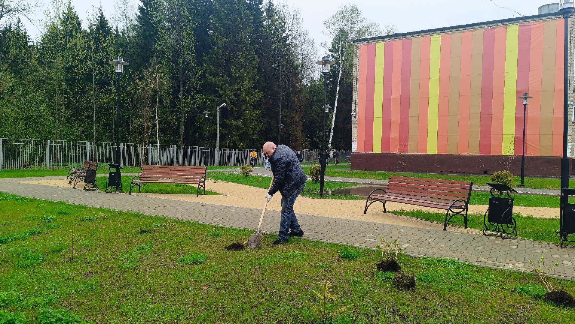 экология, посадка деревьев, школа,