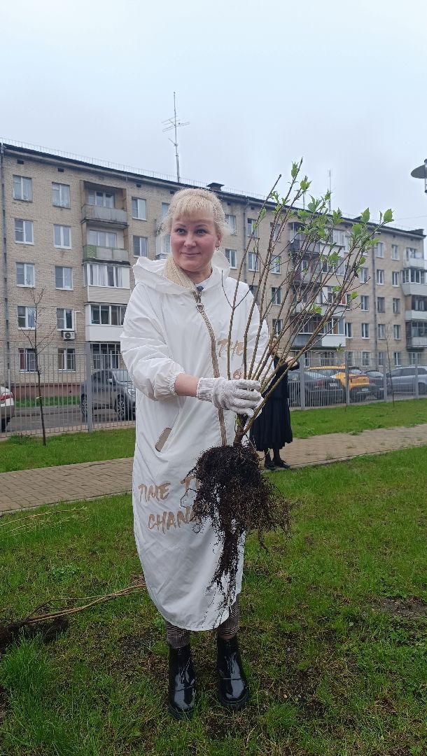 экология, посадка деревьев, школа,