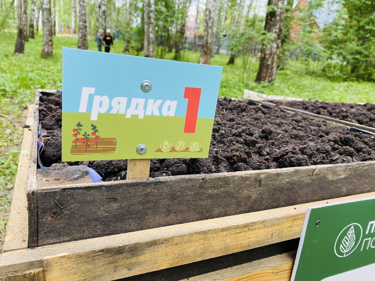 Домодедово, парковая дверь, Парк Елочки, Городской лес, Лесопарк, Подмосковье, Общественный огород, Посадка семян, День добрых дел, Грядки, овощи, культура, благоустройсво,