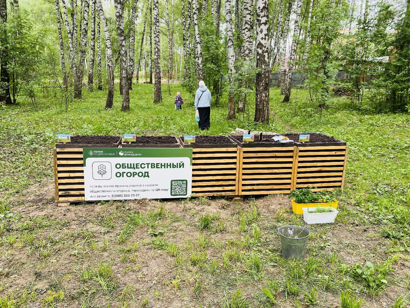 Домодедово, парковая дверь, Парк Елочки, Городской лес, Лесопарк, Подмосковье, Общественный огород, Посадка семян, День добрых дел, Грядки, овощи, культура, благоустройсво,
