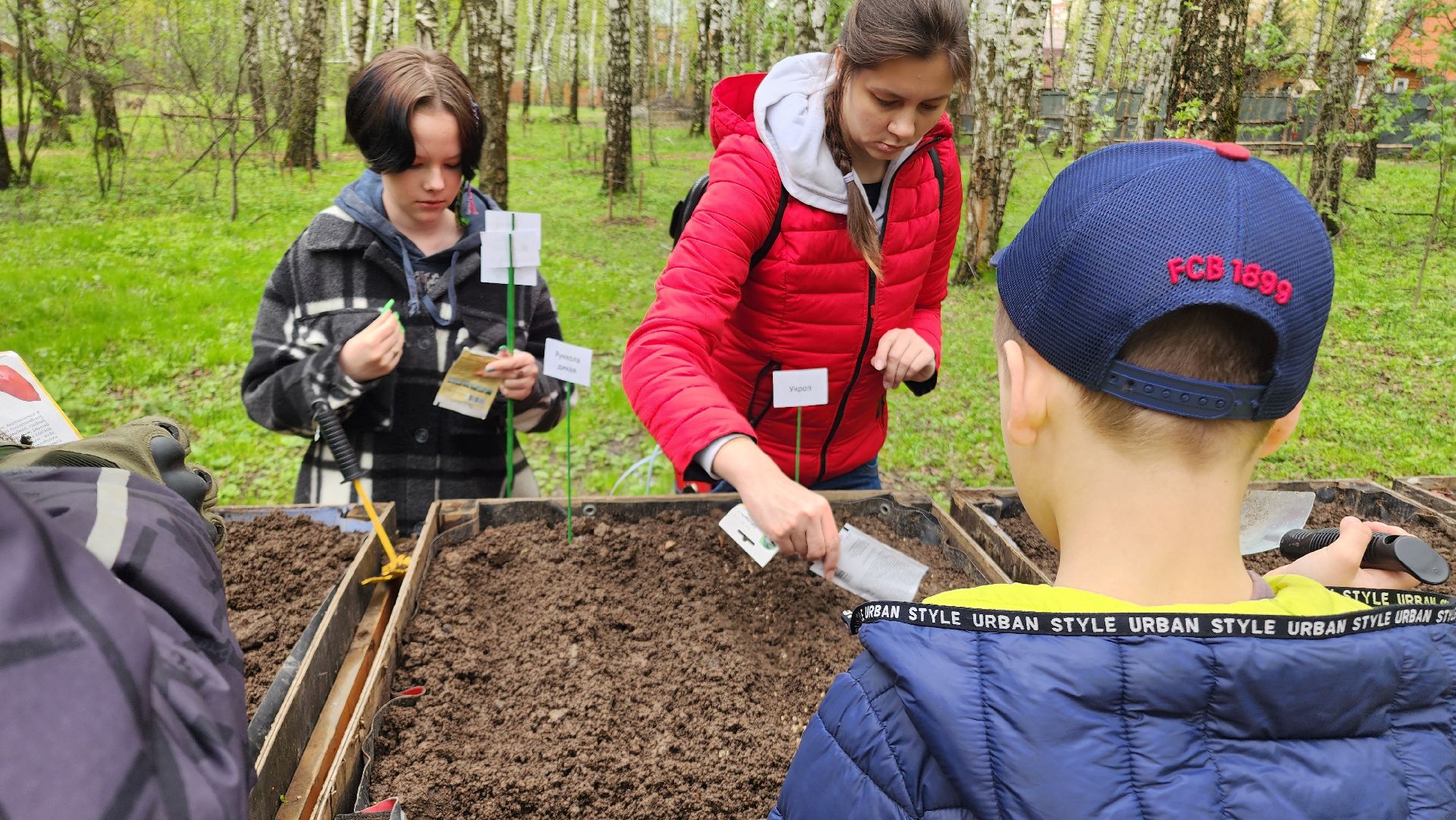 Домодедово, парковая дверь, Парк Елочки, Городской лес, Лесопарк, Подмосковье, Общественный огород, Посадка семян, День добрых дел, Грядки, овощи, культура, благоустройсво,