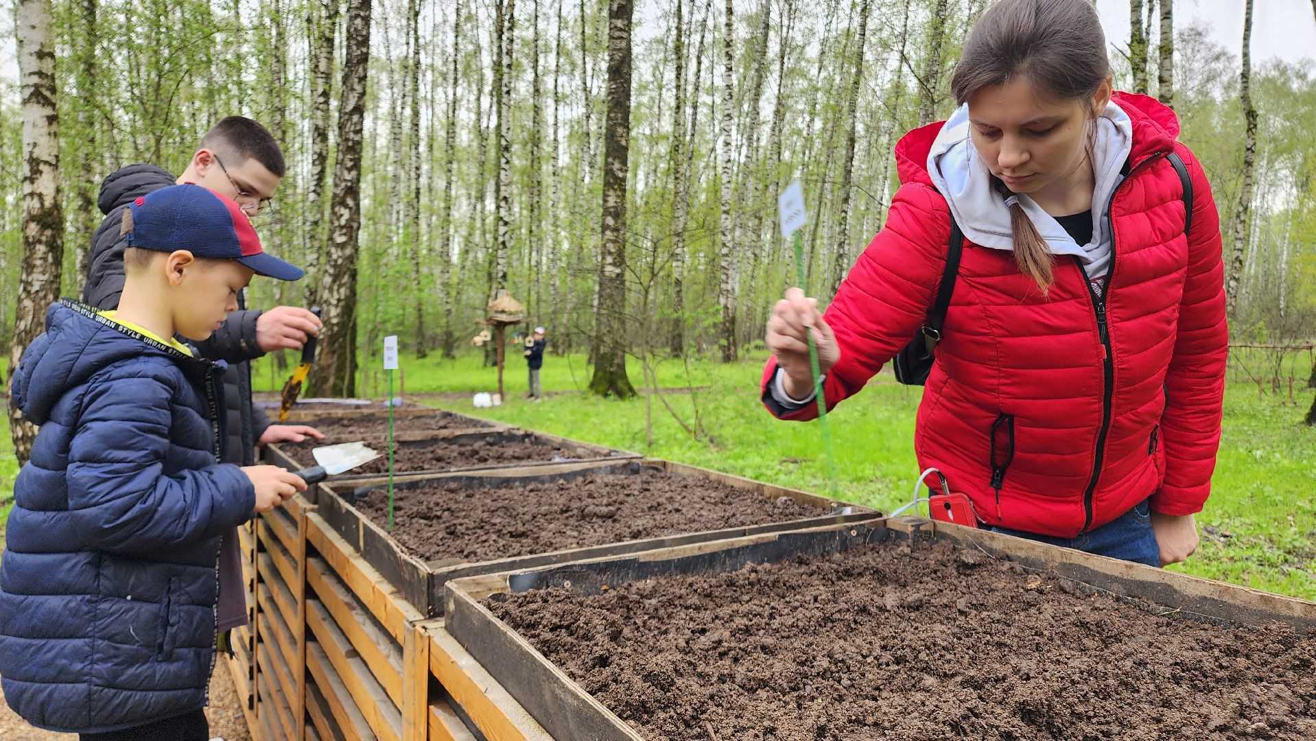 Домодедово, парковая дверь, Парк Елочки, Городской лес, Лесопарк, Подмосковье, Общественный огород, Посадка семян, День добрых дел, Грядки, овощи, культура, благоустройсво,