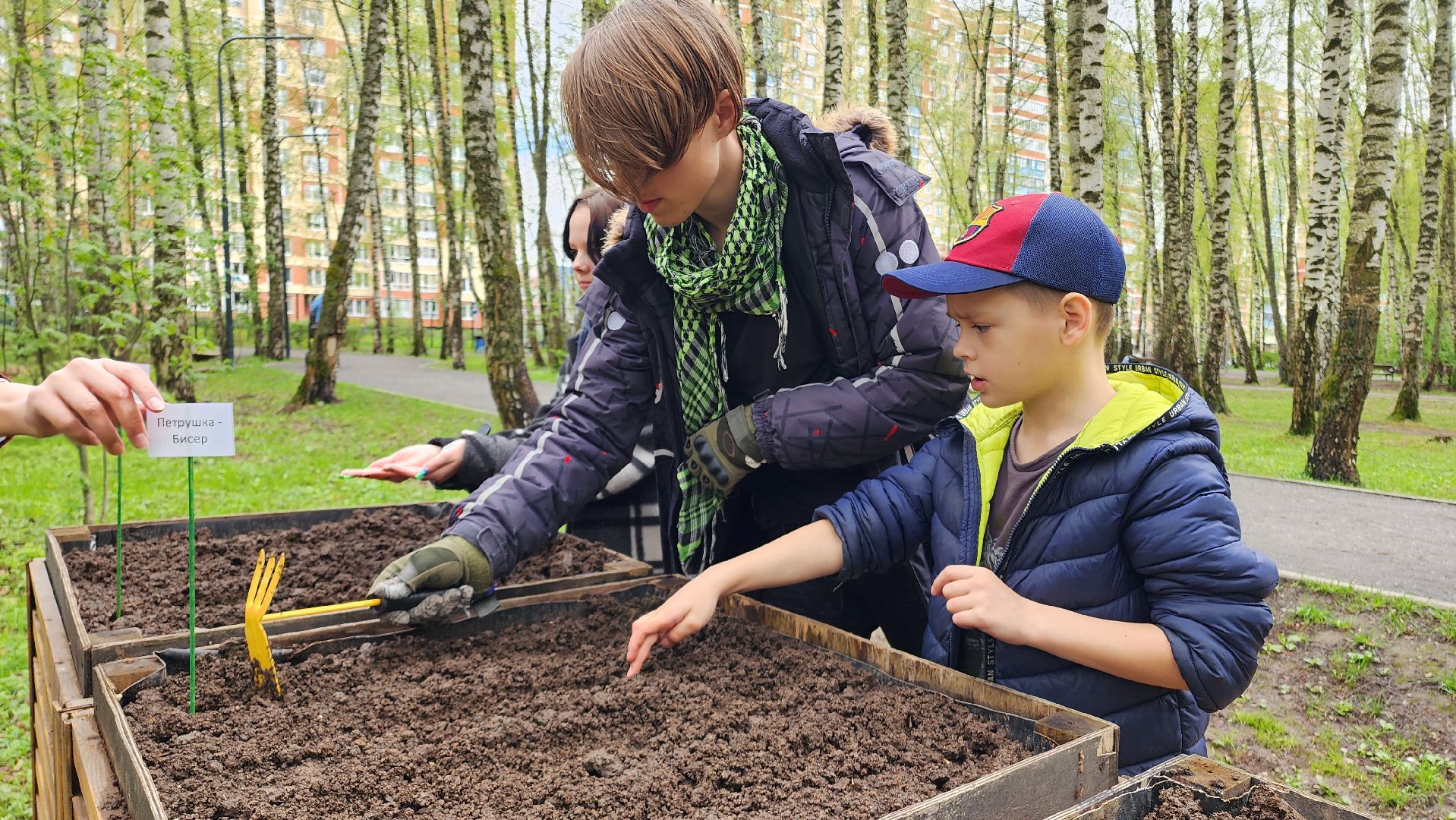 Домодедово, парковая дверь, Парк Елочки, Городской лес, Лесопарк, Подмосковье, Общественный огород, Посадка семян, День добрых дел, Грядки, овощи, культура, благоустройсво,
